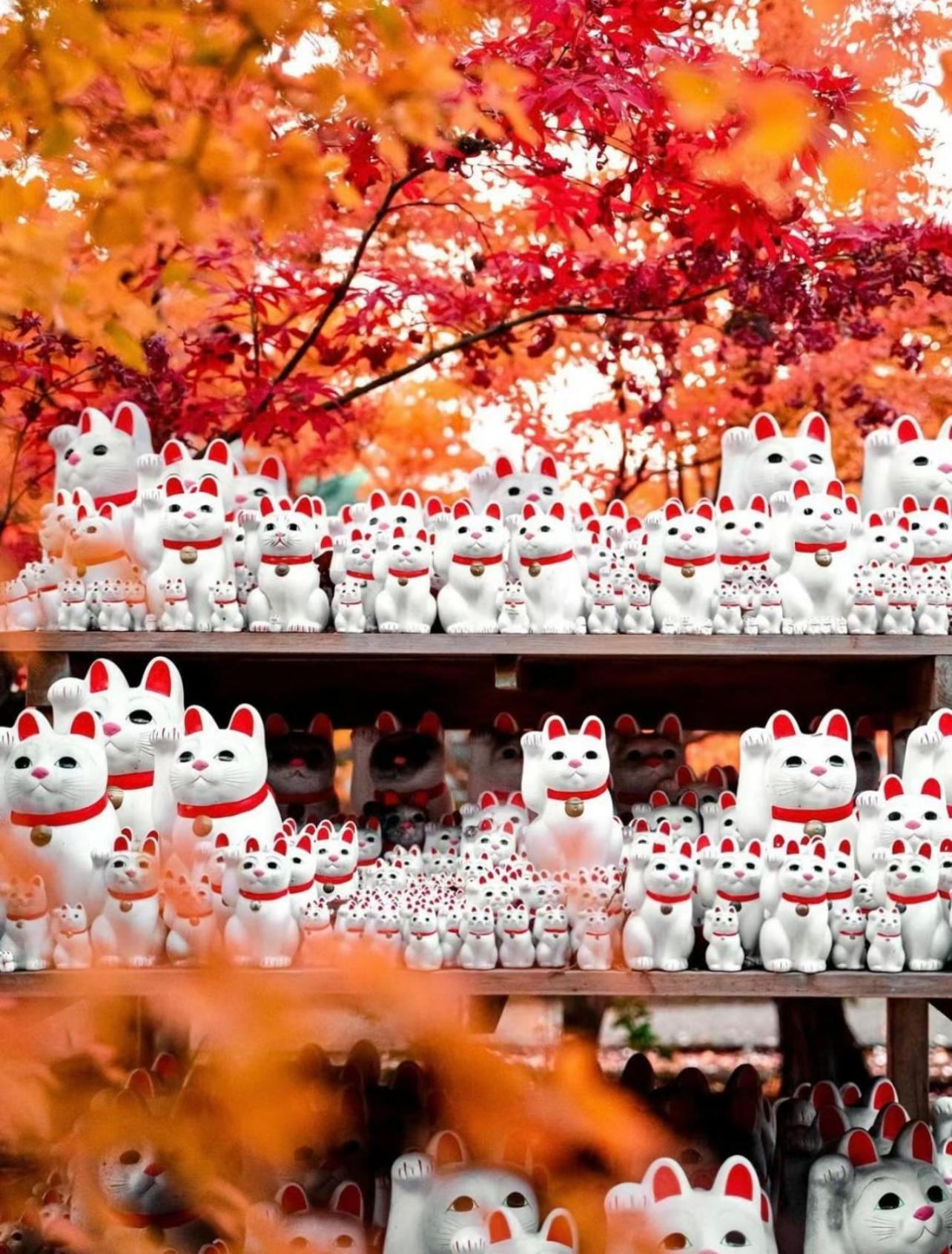 吉吉の家 東京都